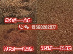 清除海藻籽里面的小石子用啥機器比較好?海藻籽篩分機